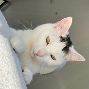 Picture of Emi