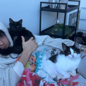 Picture of Raven and Ash