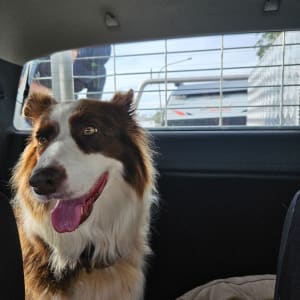 Picture of Zoey