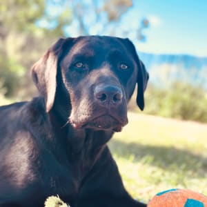 Picture of Sebastian