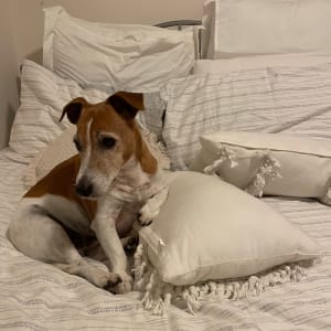 Picture of George
