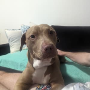 Picture of Maeve