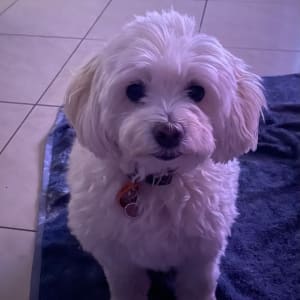 Picture of Sophie
