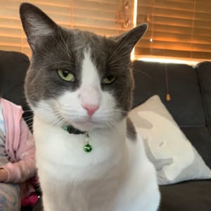 Picture of Miles Stanley teller