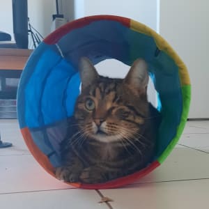 Picture of Winky