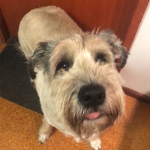 Picture of Gerry