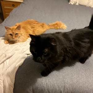 Picture of Missy & Amber