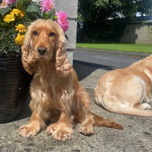 Picture of Ellie