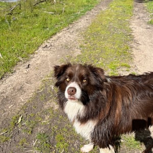 Picture of Maggie