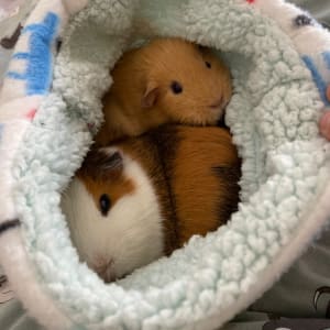 Picture of Lenny and Olive