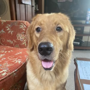 Picture of Ellie