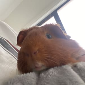 Picture of Ramón