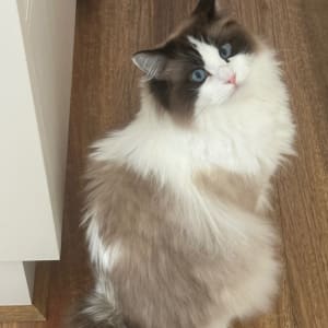 Picture of Kai