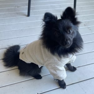 Picture of Happy
