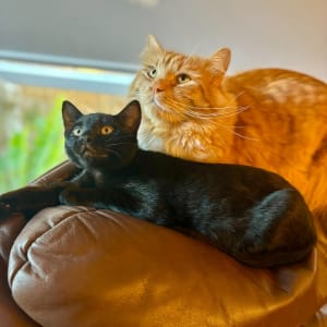 Picture of Dax and arlo