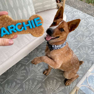 Picture of Archie