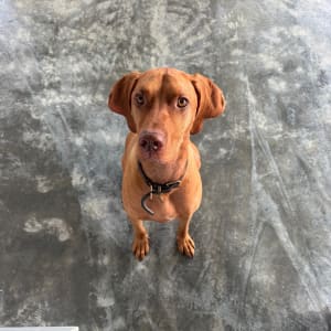 Picture of Eli
