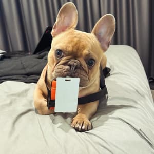 Picture of Pablo