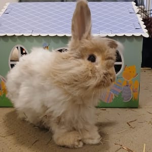 Picture of Ralph
