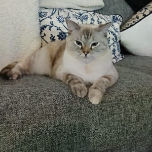 Picture of Eira