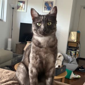 Picture of Zuko