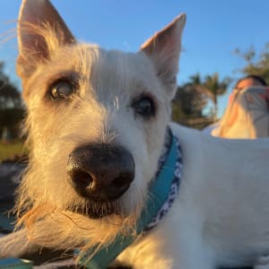 Picture of Juno Kelly