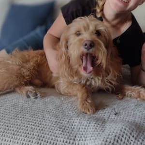 Picture of Benson
