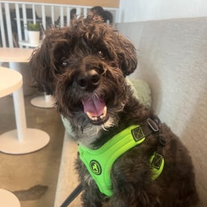 Picture of SPARTACUS