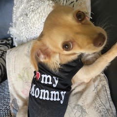 Picture of Billy