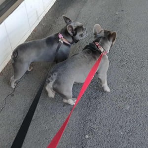 Picture of Imalu & Matpi