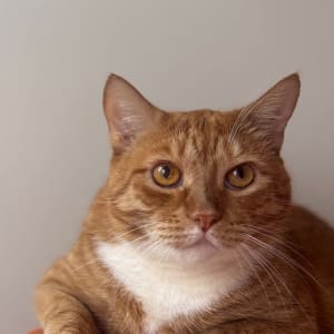 Picture of Tim