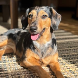 Picture of Matilda