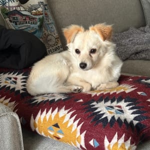 Picture of Seamus