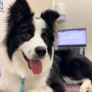 Picture of Mackanzie