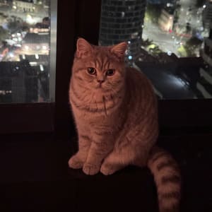 Picture of Bonny