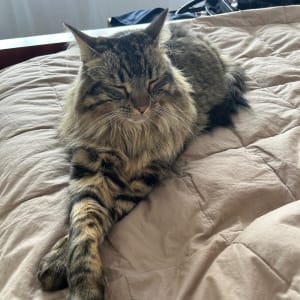 Picture of Oliver (olly)