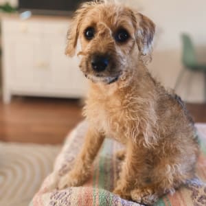 Picture of Charlotte