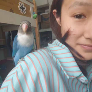 Picture of DuoDuo