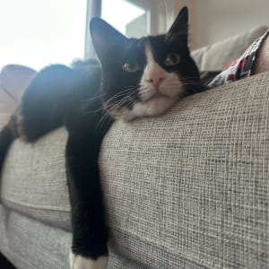Picture of Maggie