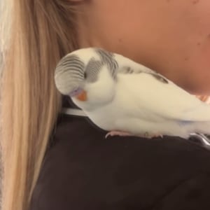 Picture of Floof