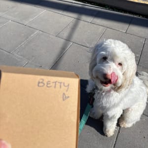 Picture of Betty