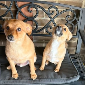 Picture of Ted & Tammy Female