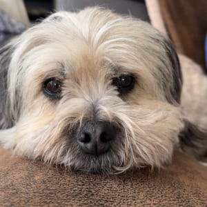 Picture of Zoe