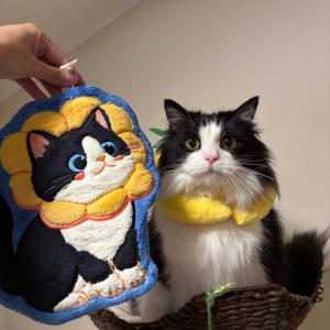 Picture of Oreo