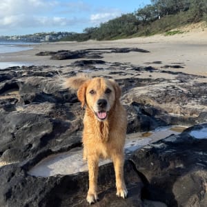 Picture of Nigel