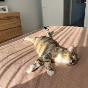 Picture of Hazel Lobato