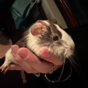 Picture of Timothy