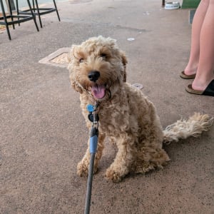 Picture of Winnie