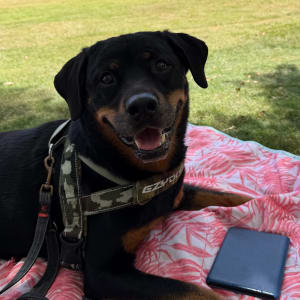 Picture of Tia