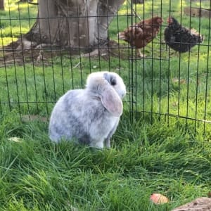 Picture of Betty